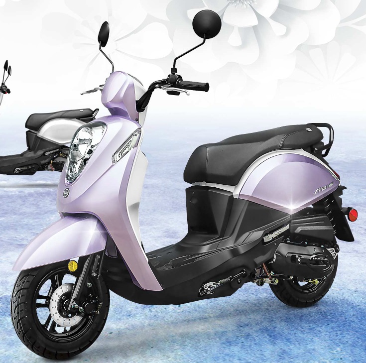 Gainesville Student Scooters | Solano Cycle | St. Augustine Florida